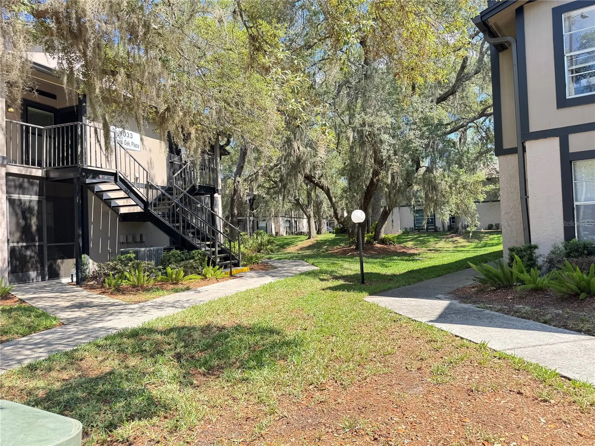 4033 Dream Oak Place Tampa FL 33613