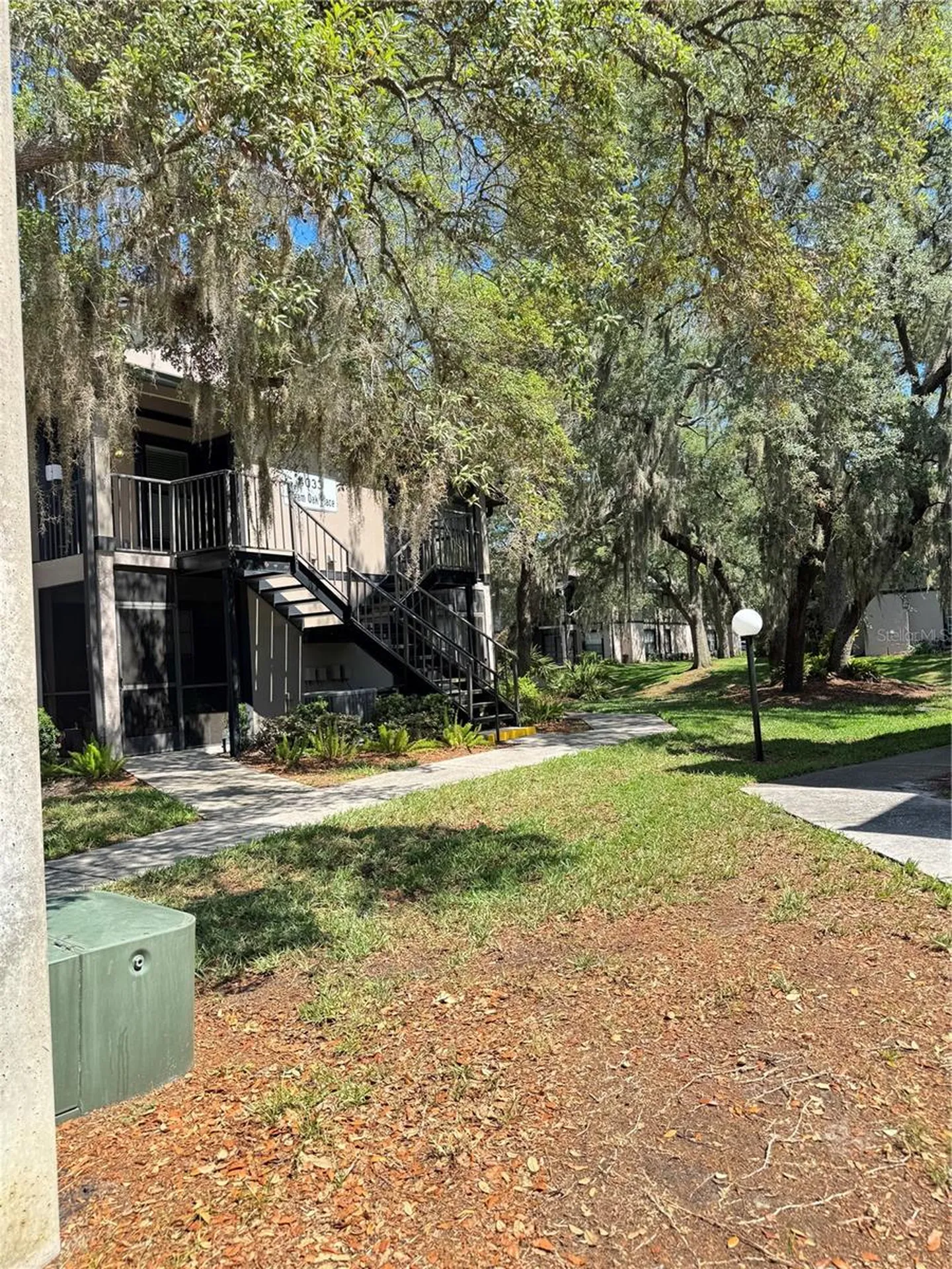 4033 Dream Oak Place Tampa FL 33613
