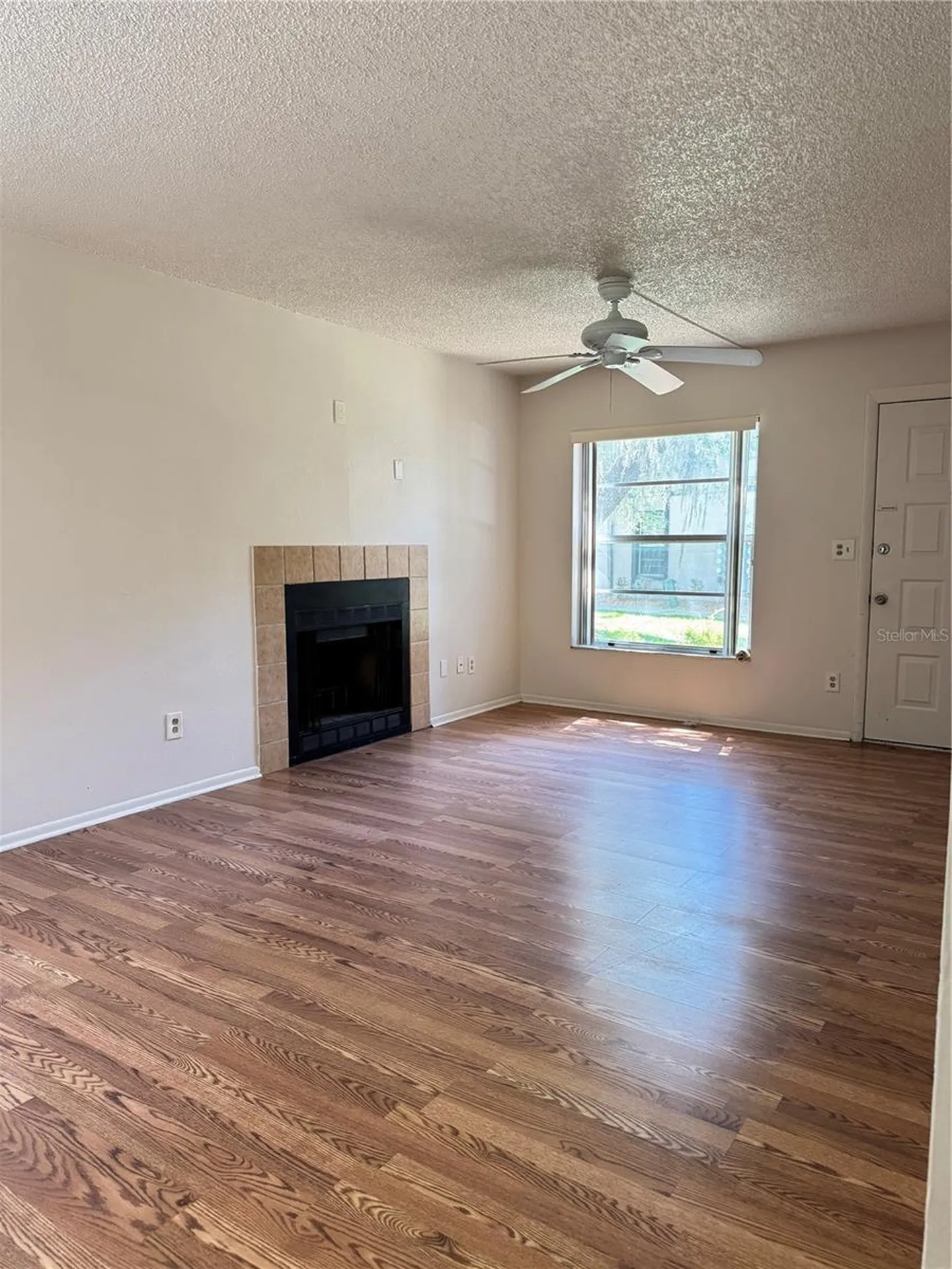 4033 Dream Oak Place Tampa FL 33613