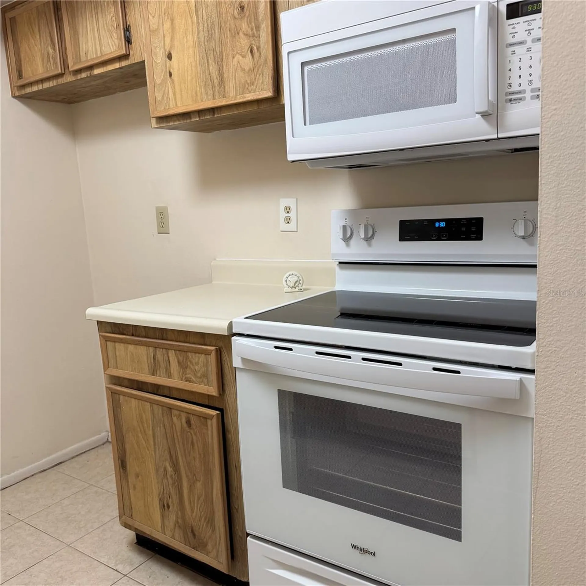 4033 Dream Oak Place Tampa FL 33613