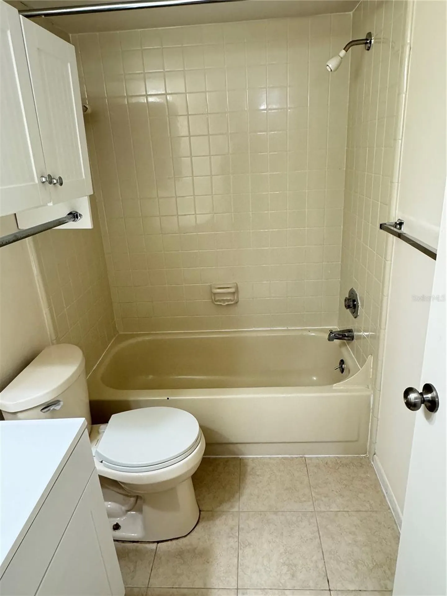 4033 Dream Oak Place Tampa FL 33613