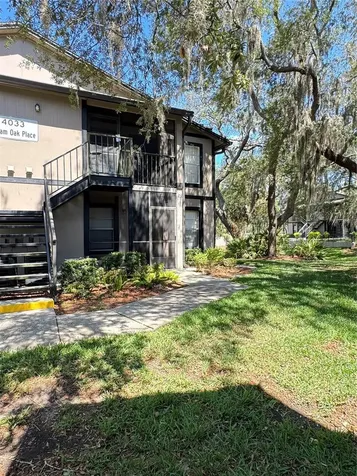 4033 Dream Oak Place Tampa FL 33613