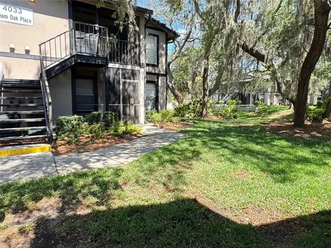 4033 Dream Oak Place Tampa FL 33613