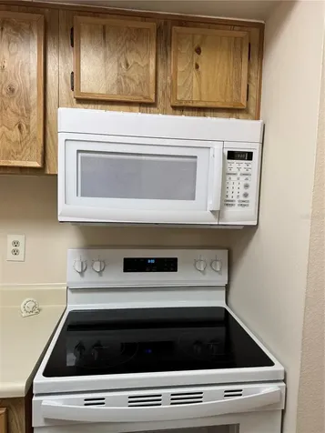 4033 Dream Oak Place Tampa FL 33613