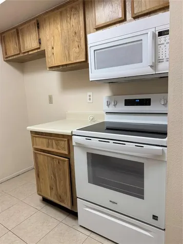4033 Dream Oak Place Tampa FL 33613