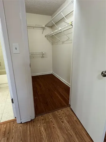 4033 Dream Oak Place Tampa FL 33613