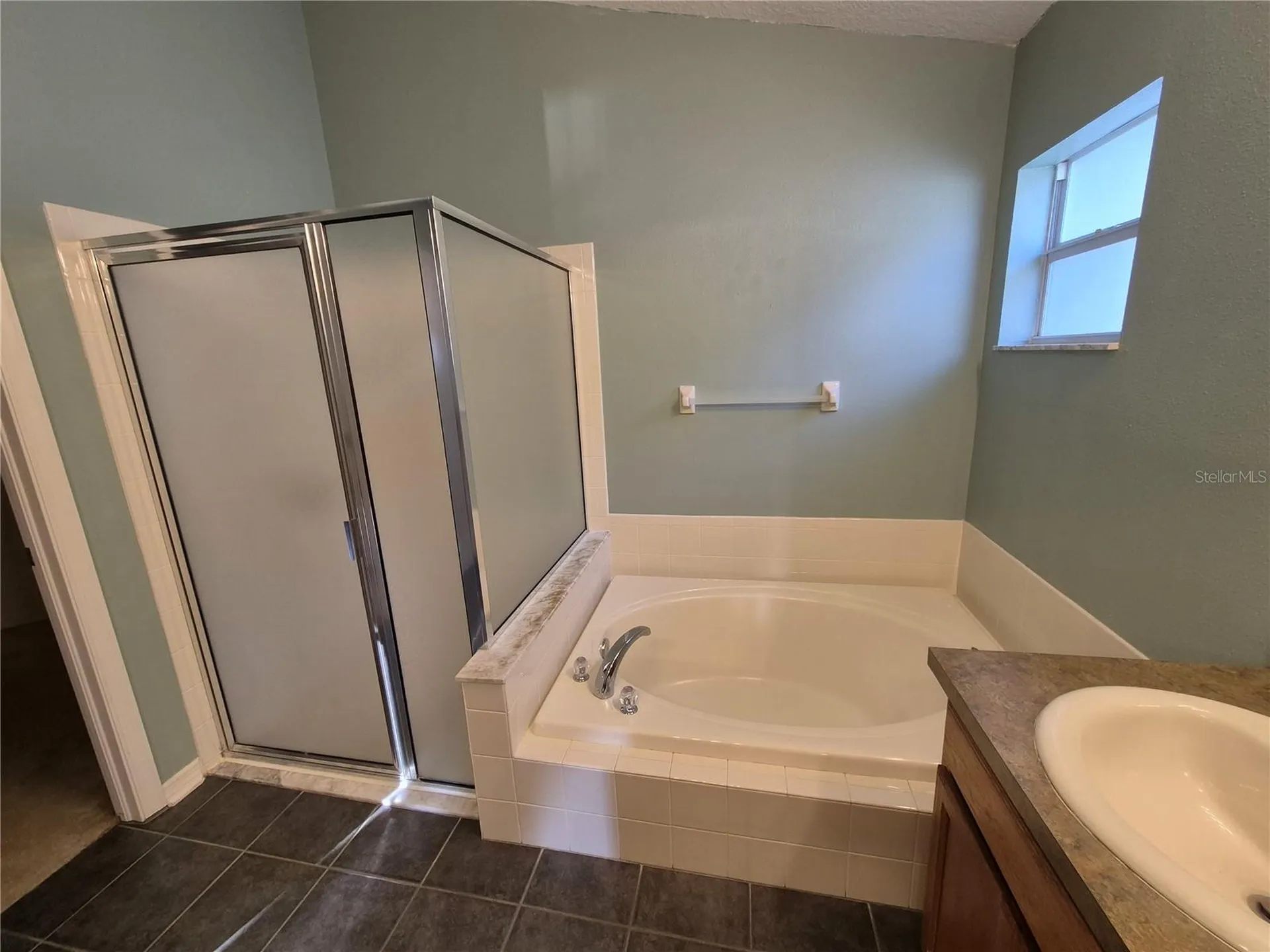 6833 Runner Oak Drive Zephyrhills FL 33545