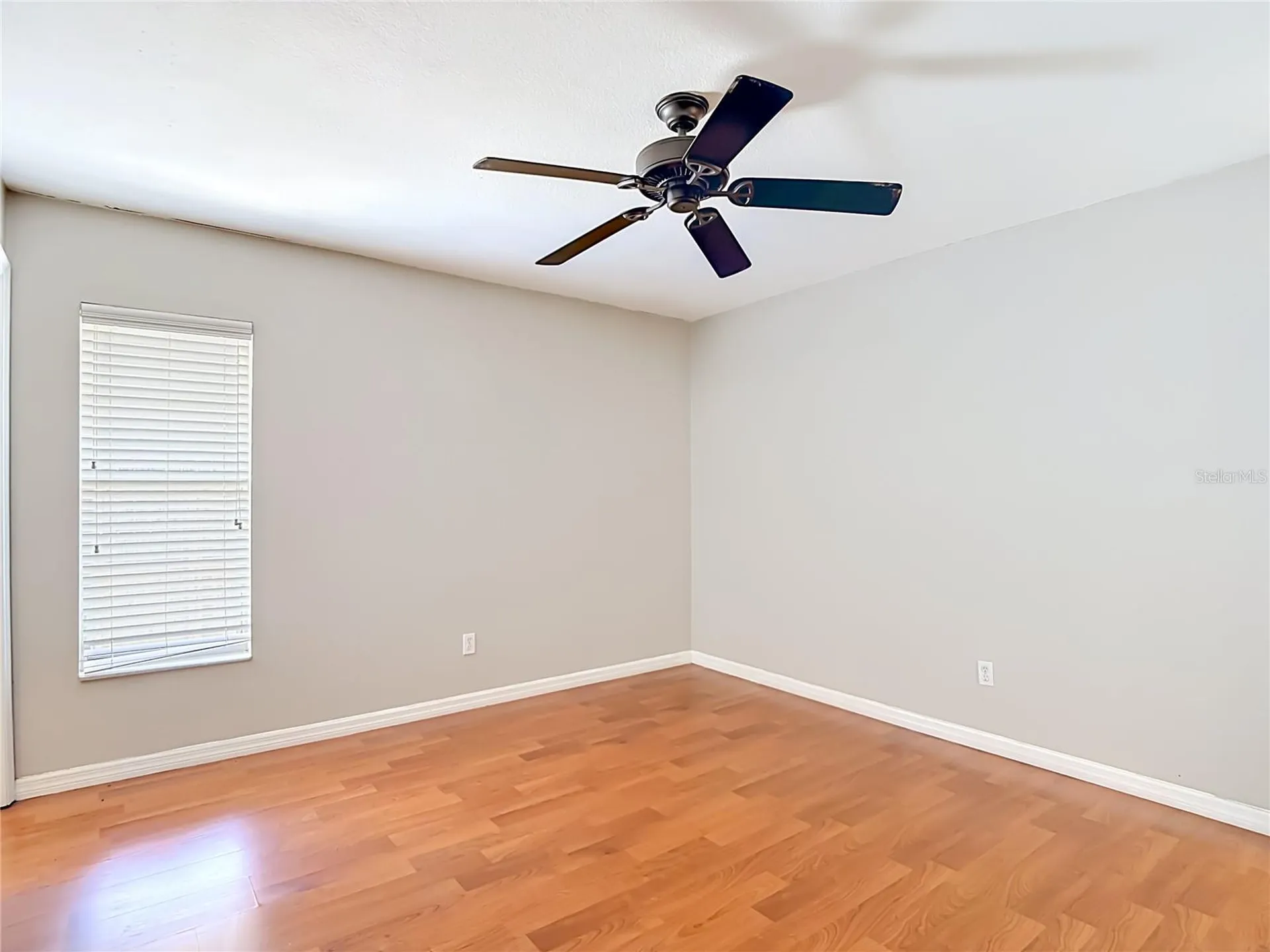 811 Ambassador Loop Tampa FL 33613