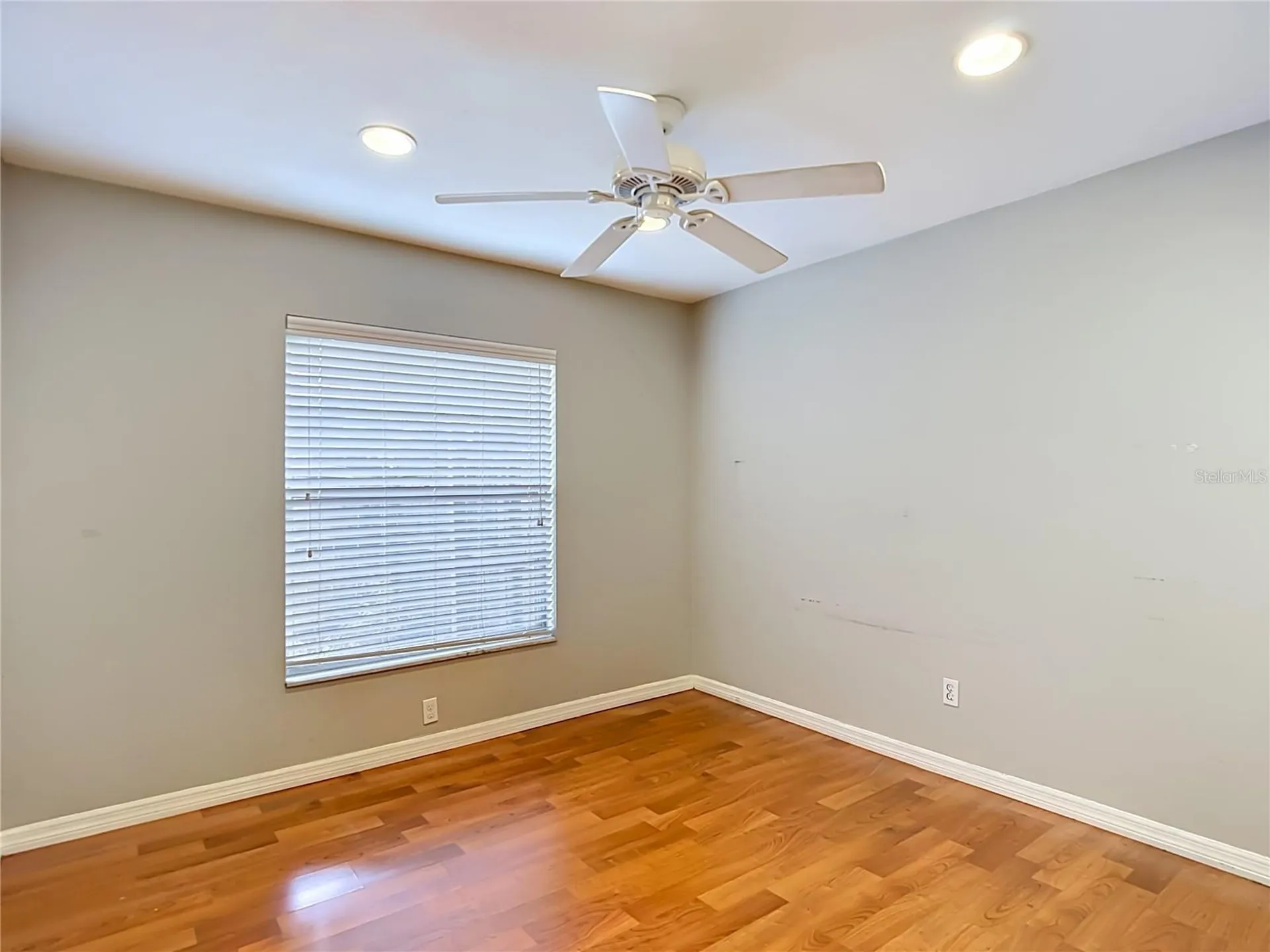811 Ambassador Loop Tampa FL 33613