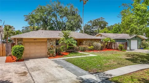 811 Ambassador Loop Tampa FL 33613