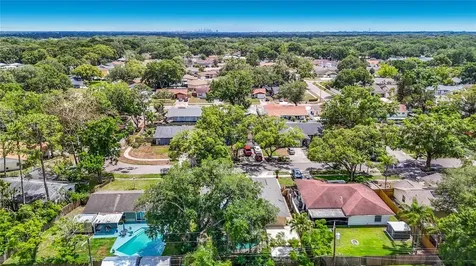 811 Ambassador Loop Tampa FL 33613