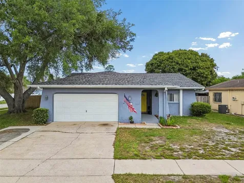 4733 Ridge Point Drive Tampa FL 33624