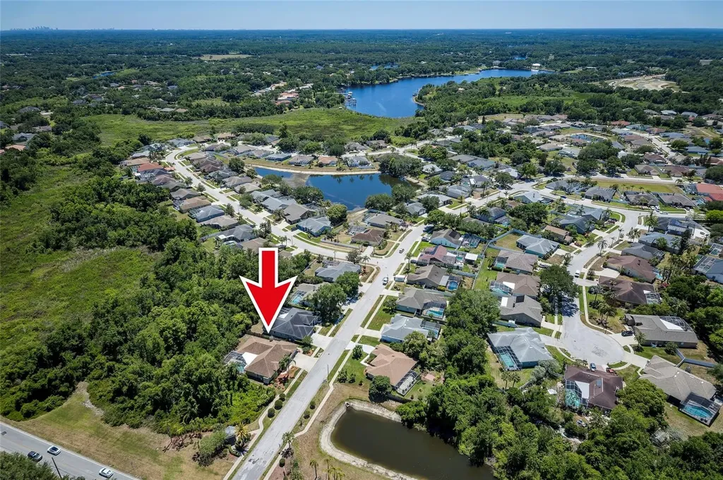 22754 Magnolia Trace Boulevard Lutz FL 33549