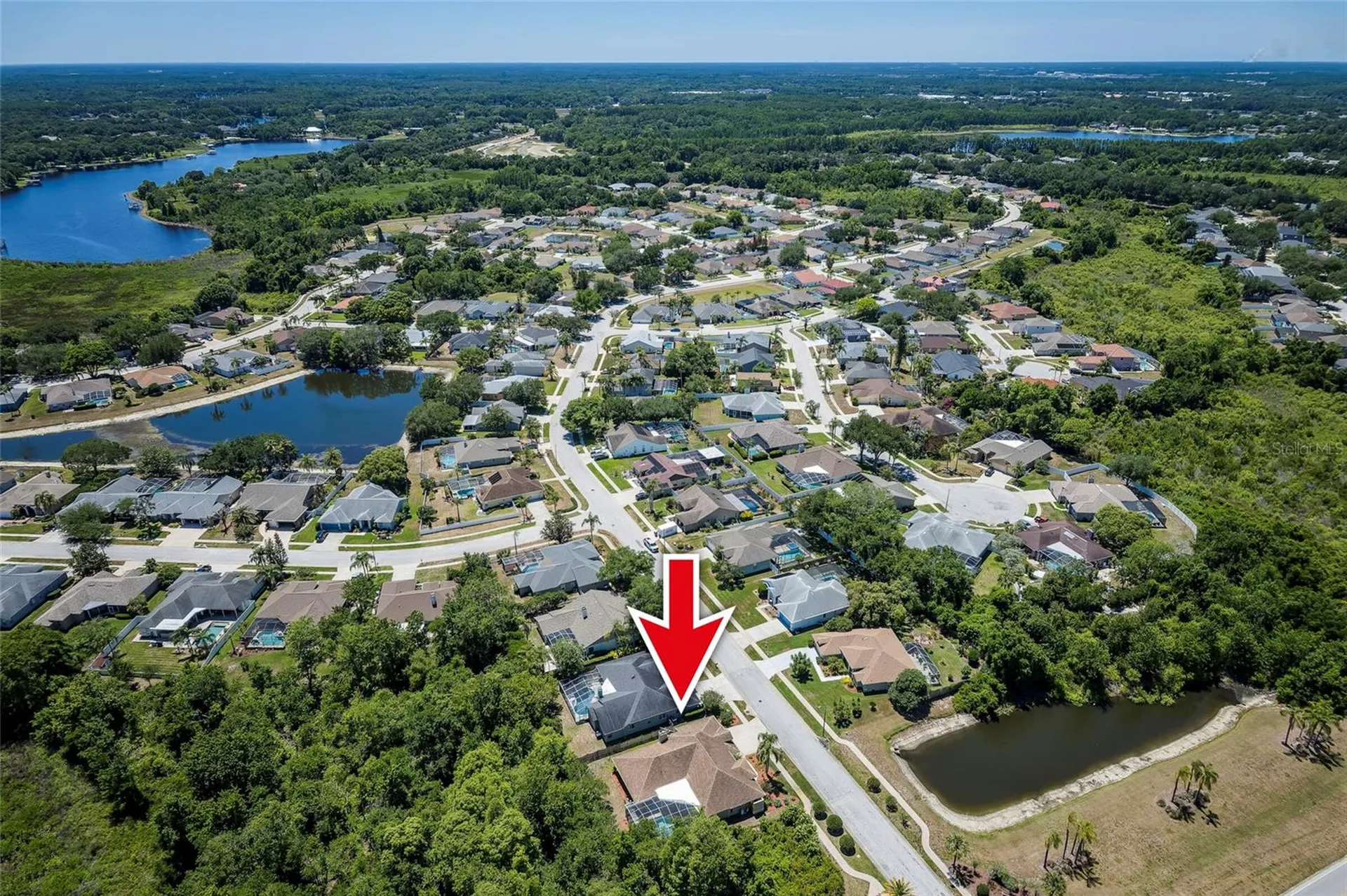 22754 Magnolia Trace Boulevard Lutz FL 33549