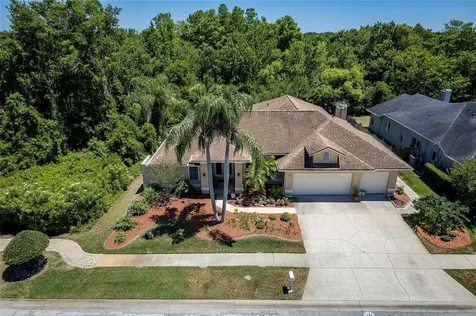 22754 Magnolia Trace Boulevard Lutz FL 33549