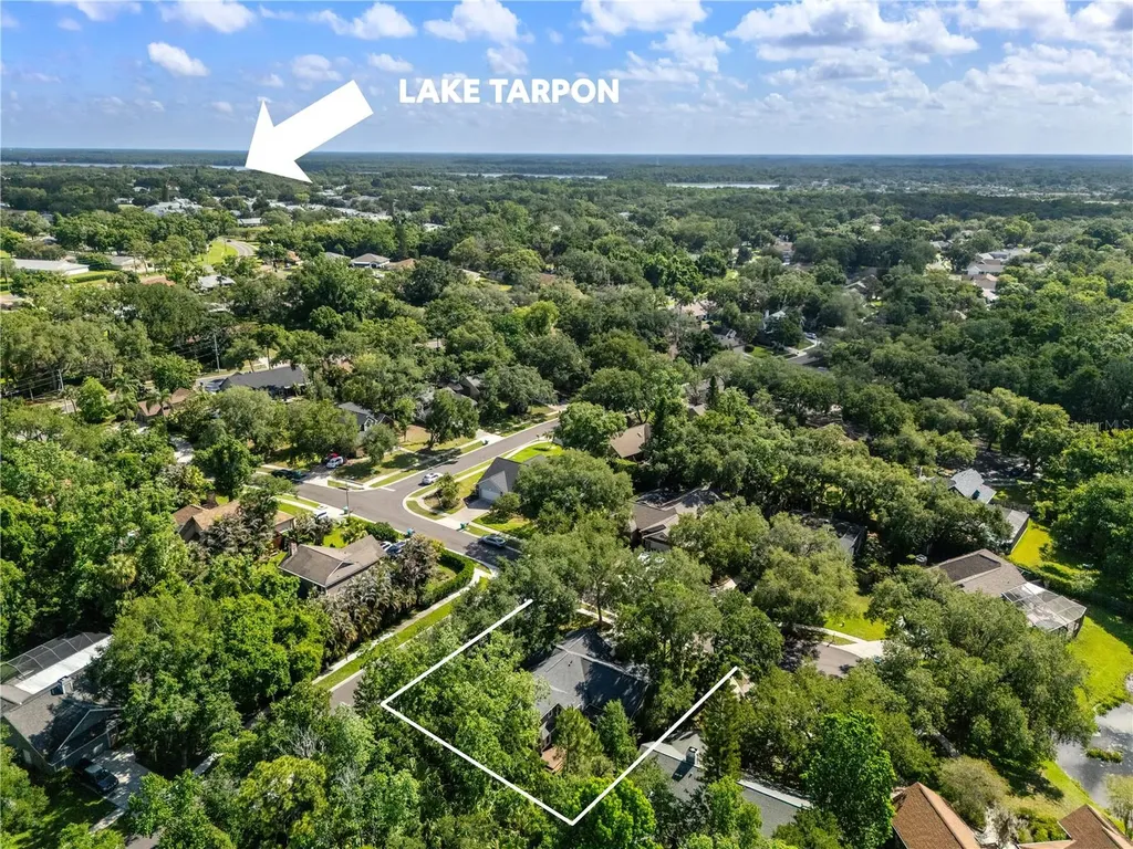 344 Cascade Lane Palm Harbor FL 34684