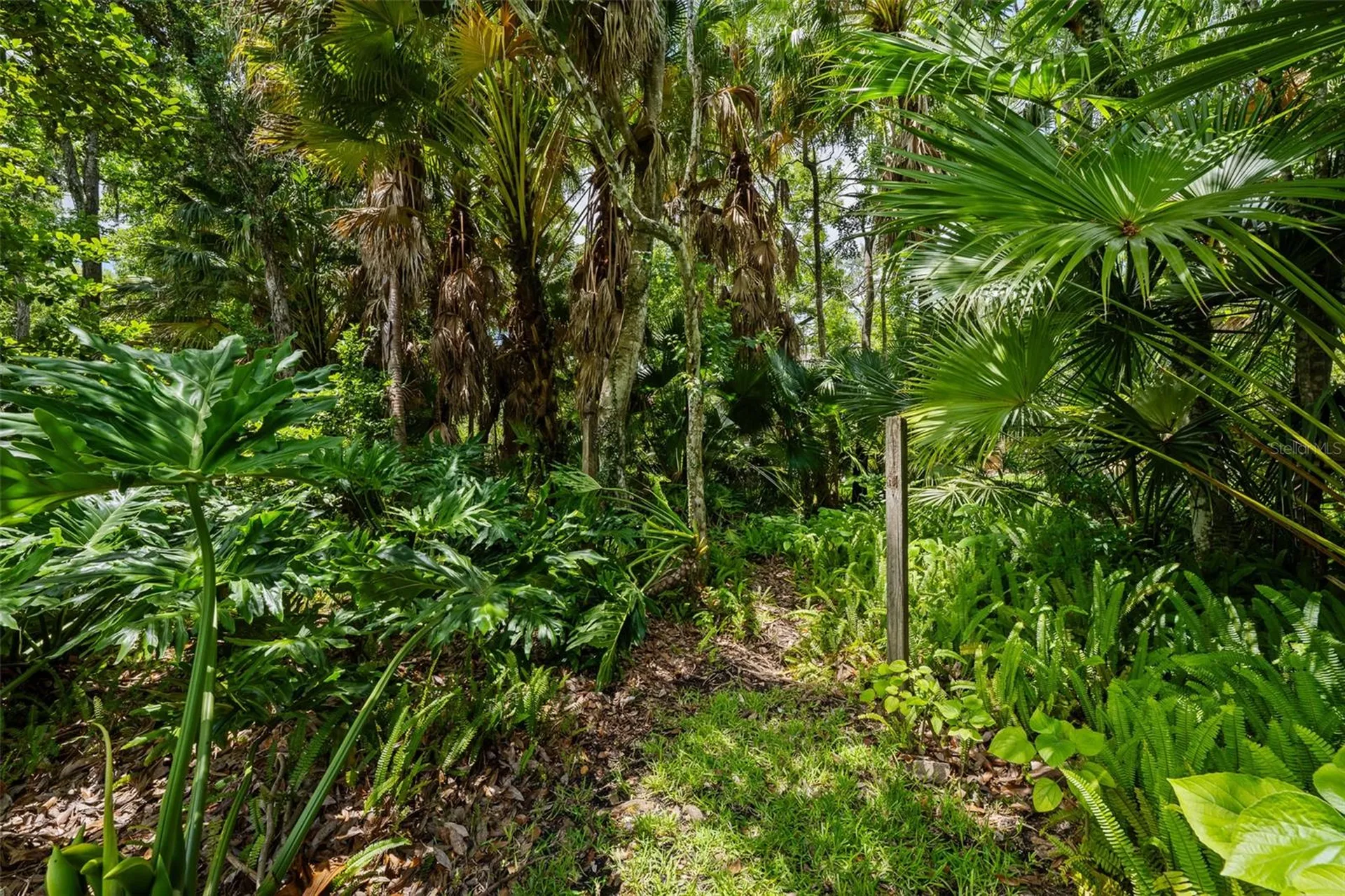 344 Cascade Lane Palm Harbor FL 34684