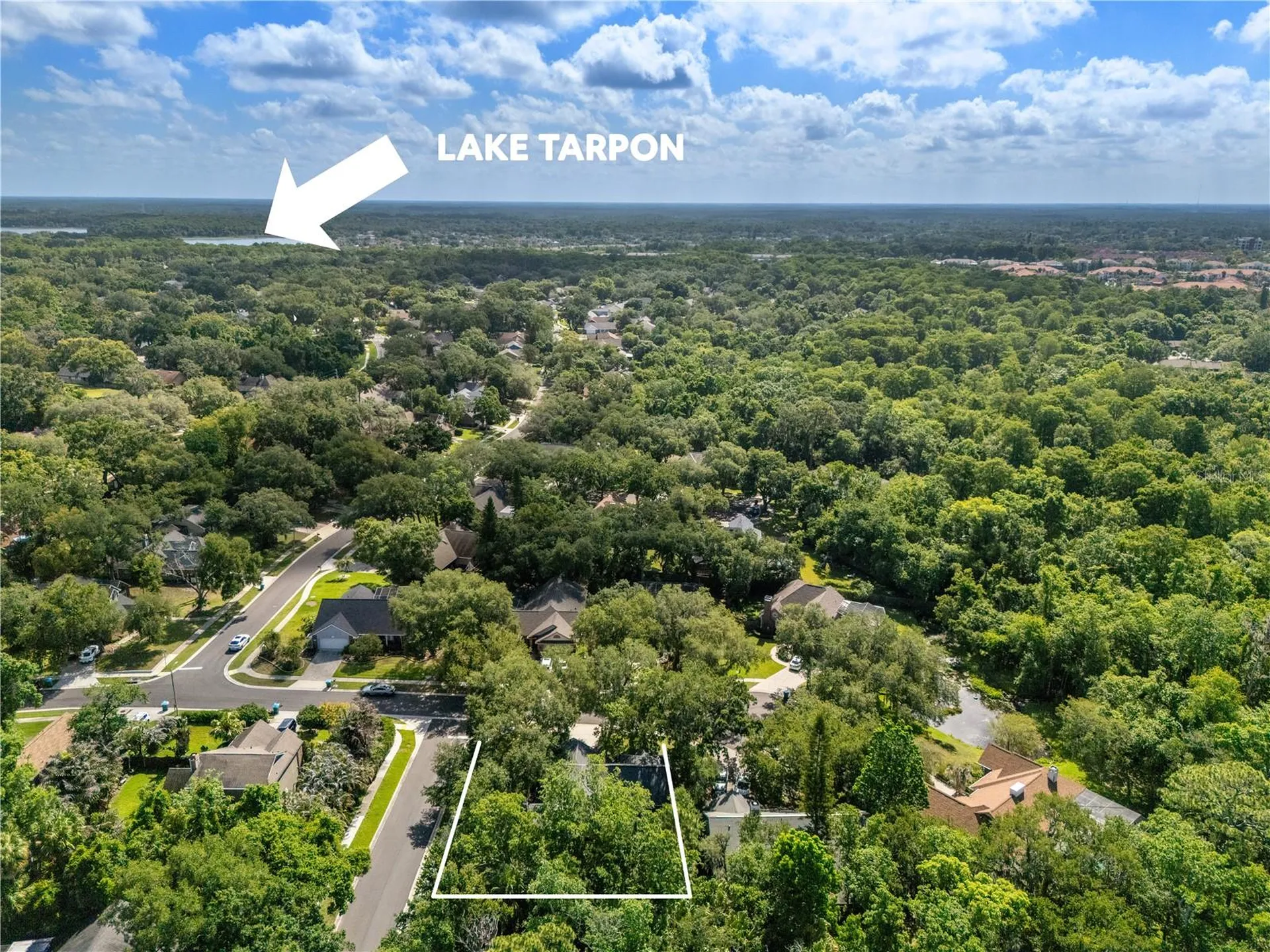 344 Cascade Lane Palm Harbor FL 34684