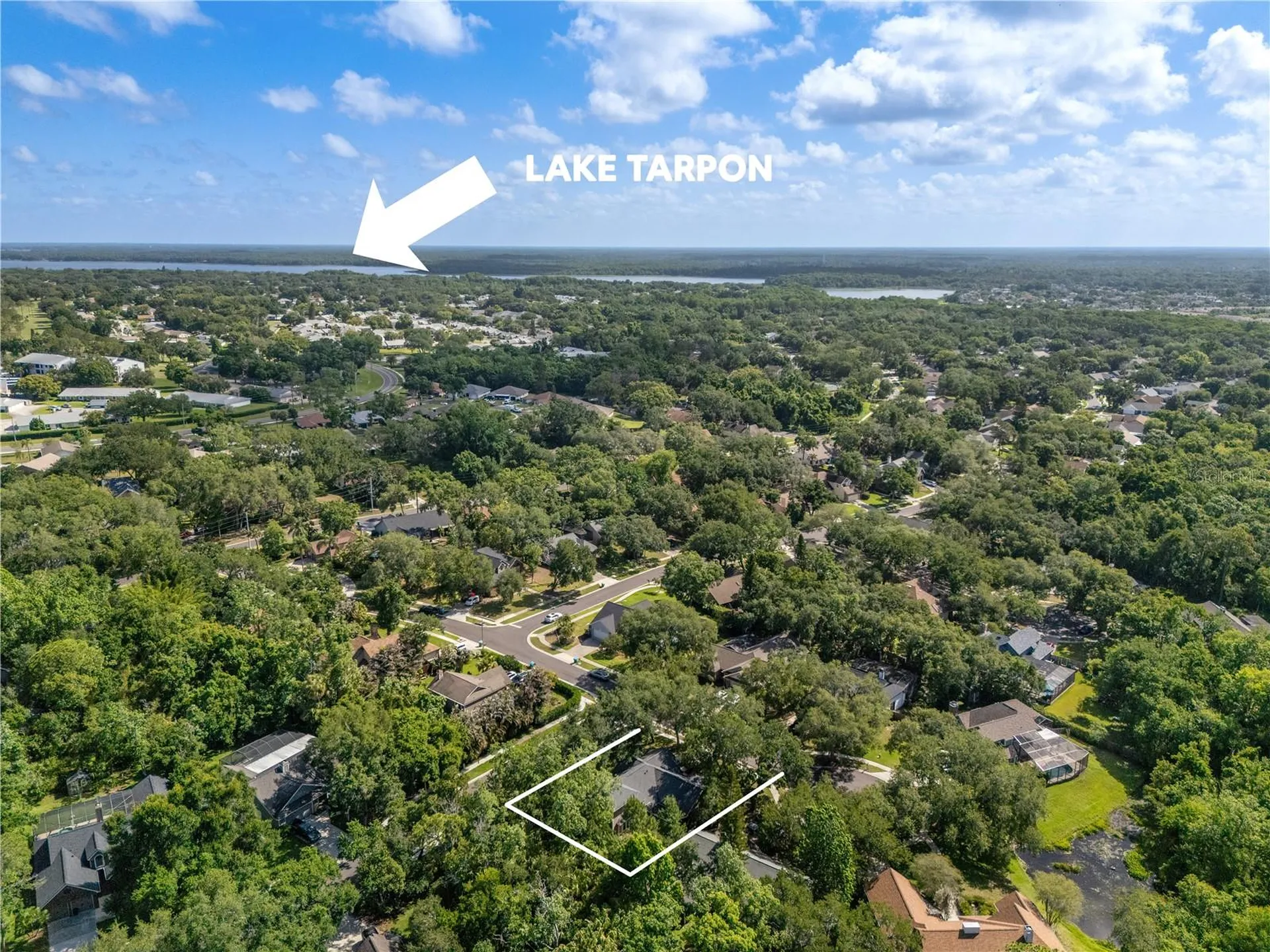 344 Cascade Lane Palm Harbor FL 34684