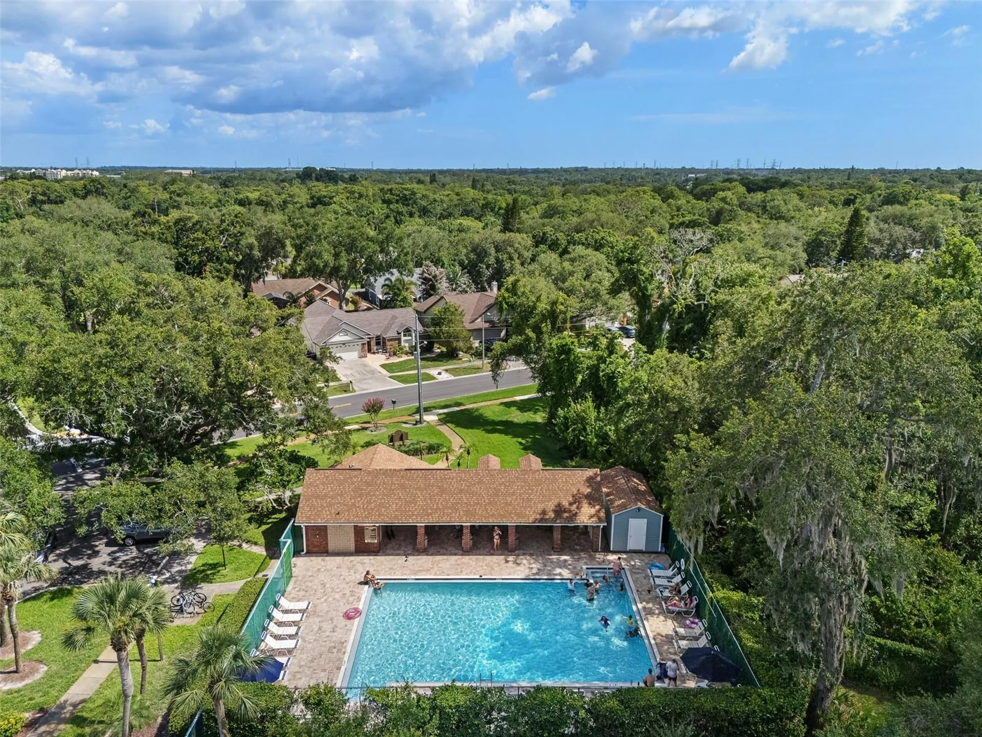 344 Cascade Lane Palm Harbor FL 34684