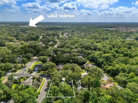344 Cascade Lane Palm Harbor FL 34684