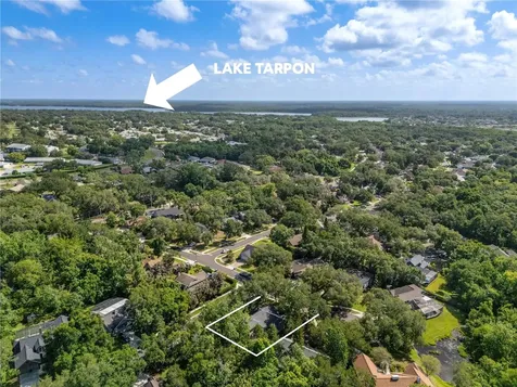 344 Cascade Lane Palm Harbor FL 34684