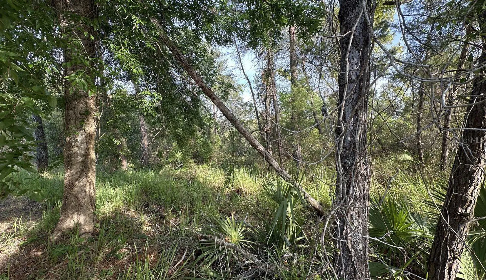 0 Olive Circle Ocala FL 34472