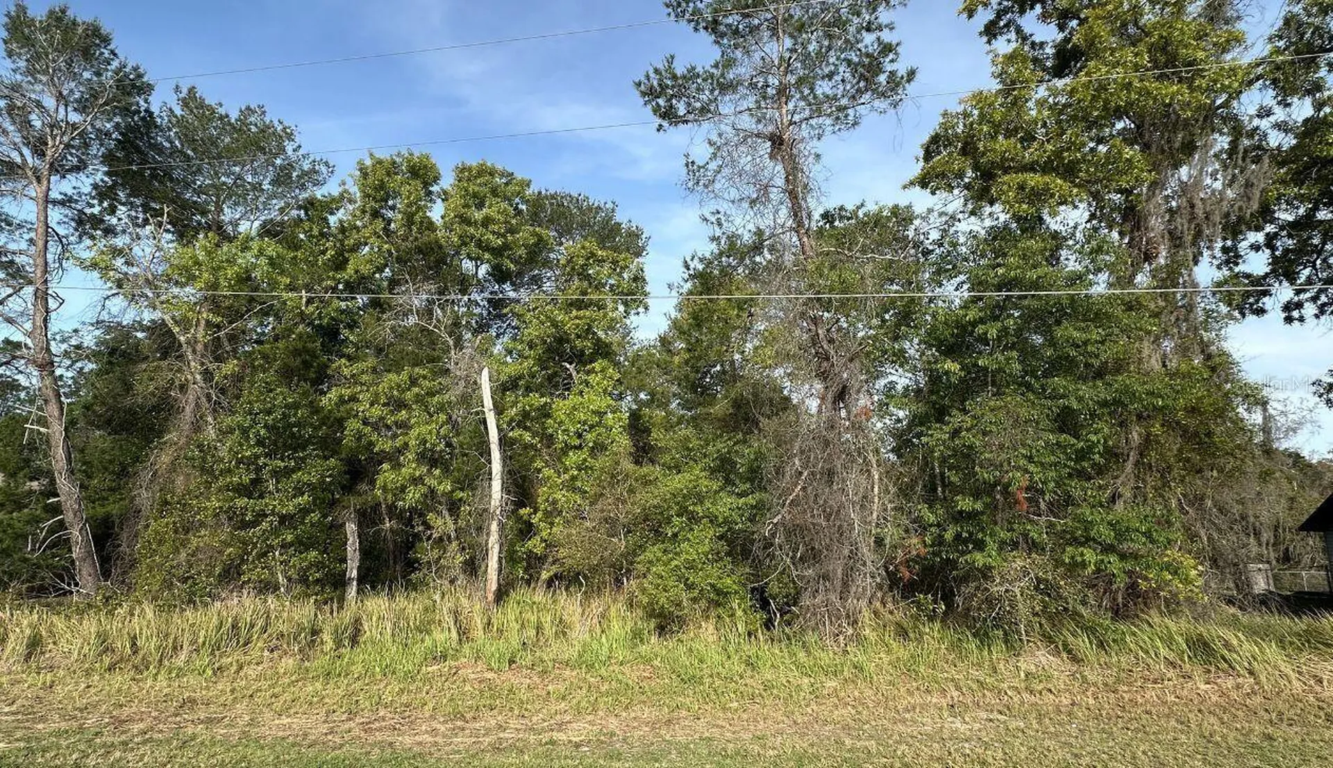 0 Olive Circle Ocala FL 34472