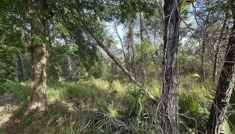 0 Olive Circle Ocala FL 34472