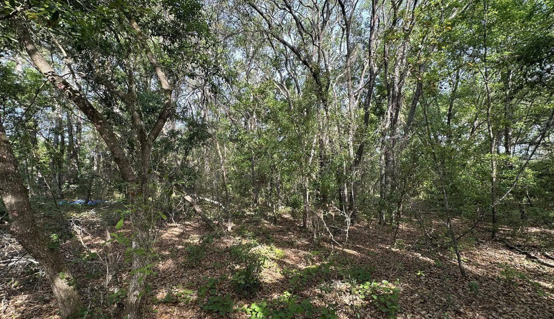 0 Oak Ln Way Ocala FL 34472