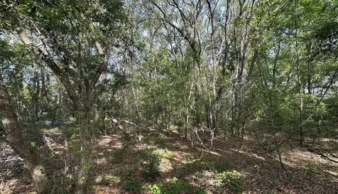 0 Oak Ln Way Ocala FL 34472