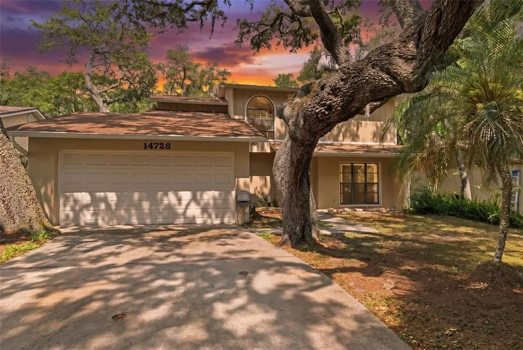 14728 Tall Tree Drive Lutz FL 33559