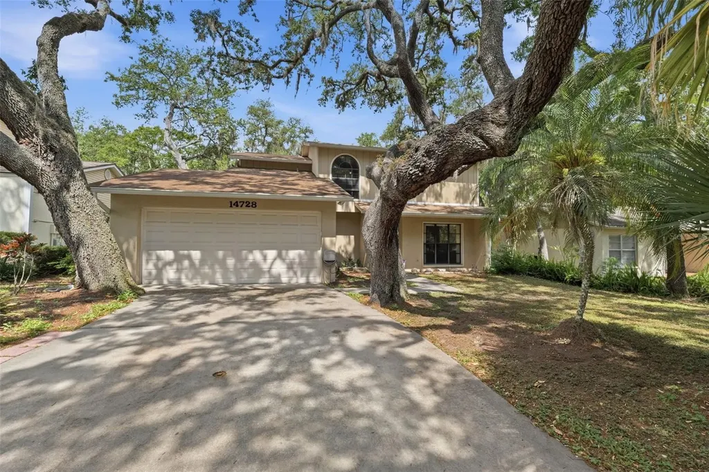 14728 Tall Tree Drive Lutz FL 33559