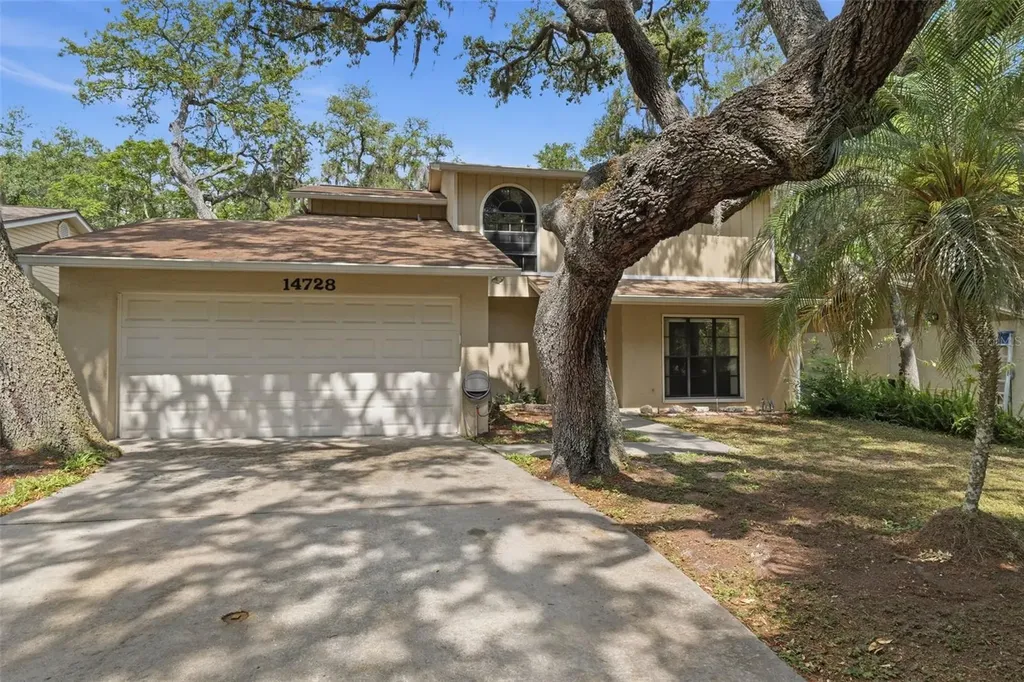 14728 Tall Tree Drive Lutz FL 33559
