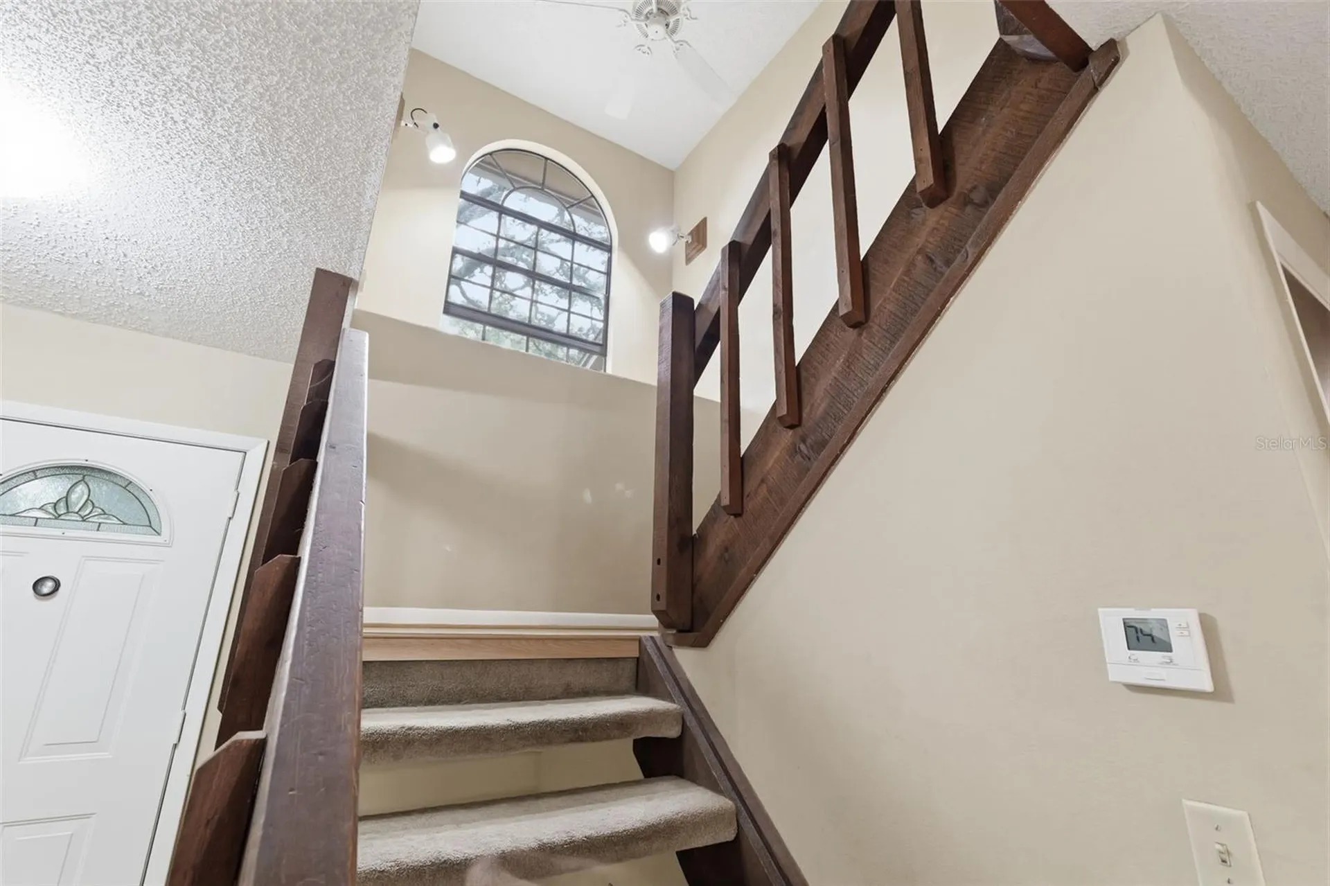 14728 Tall Tree Drive Lutz FL 33559