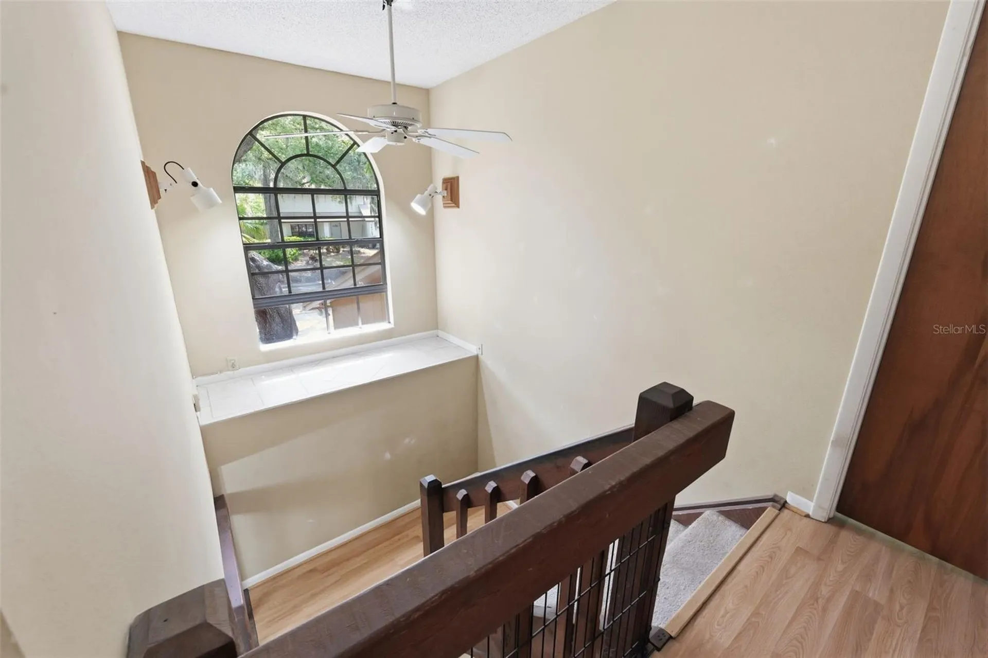 14728 Tall Tree Drive Lutz FL 33559