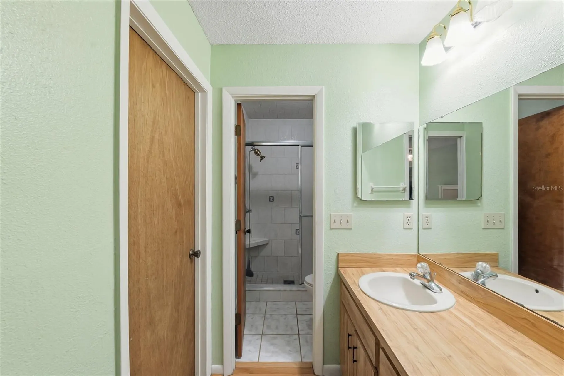 14728 Tall Tree Drive Lutz FL 33559