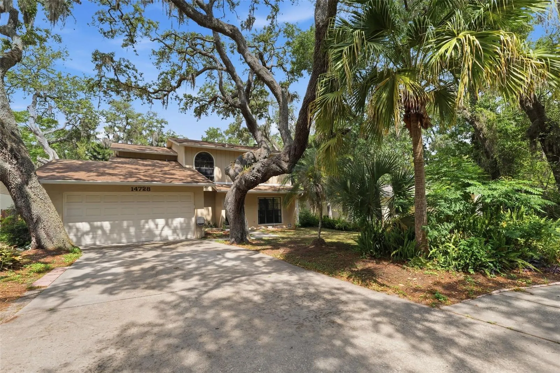 14728 Tall Tree Drive Lutz FL 33559