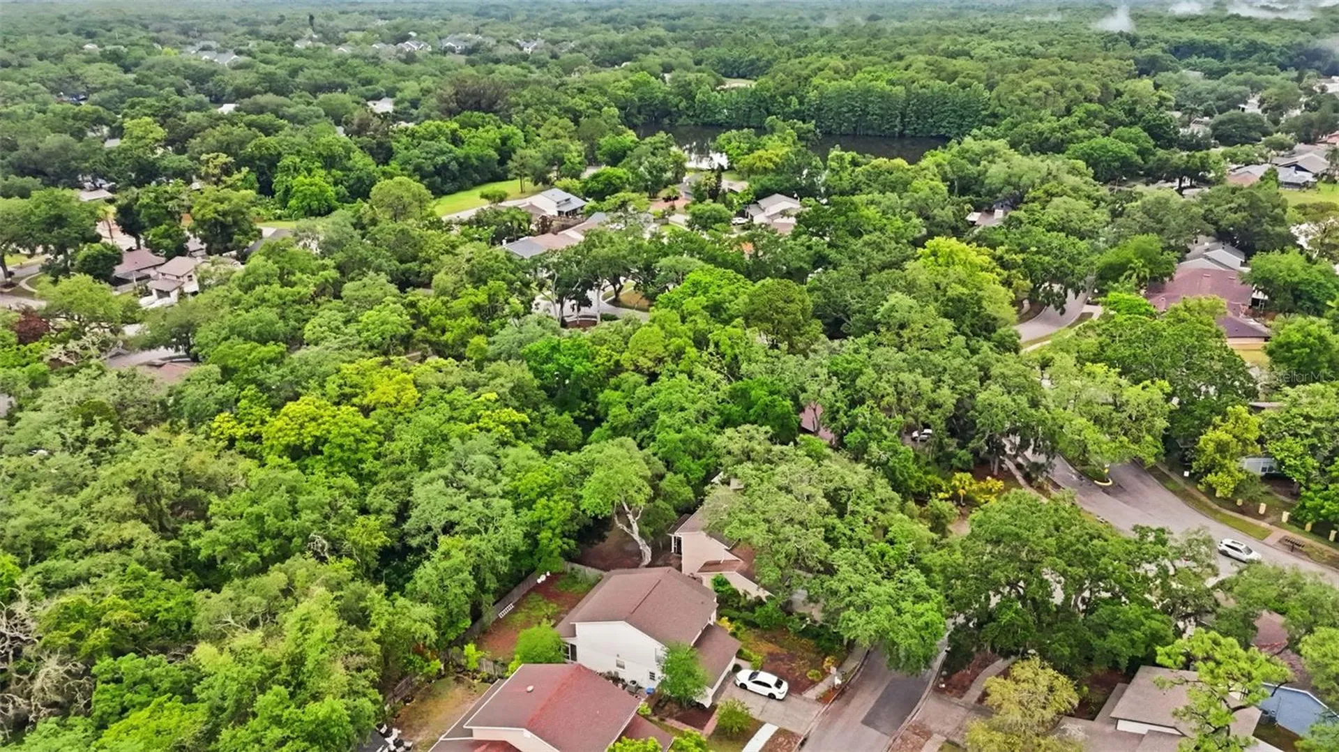 14728 Tall Tree Drive Lutz FL 33559