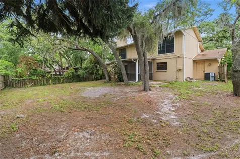 14728 Tall Tree Drive Lutz FL 33559