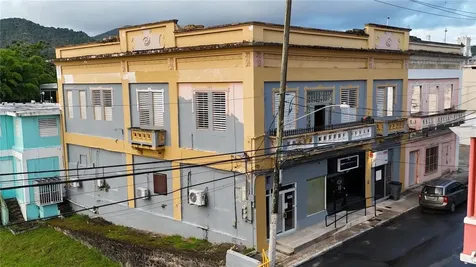156 Calle Jose De Diego Cayey PR 00736