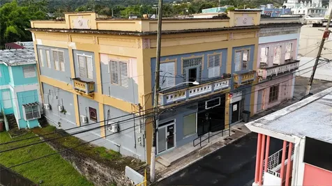 156 Calle Jose De Diego Cayey PR 00736