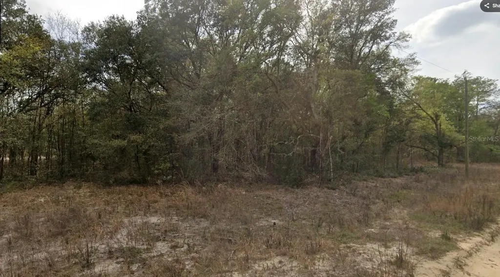 000 Jernigan Street Interlachen FL 32148