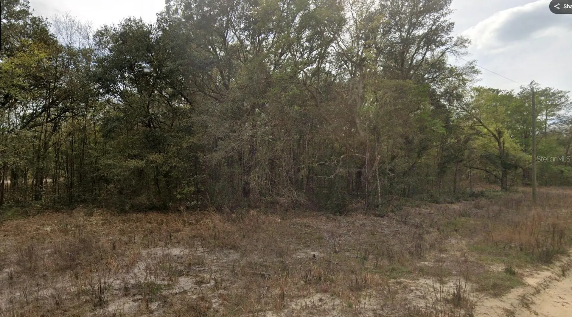 000 Jernigan Street Interlachen FL 32148