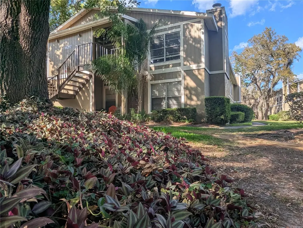 14317 Hanging Moss Circle Tampa FL 33613