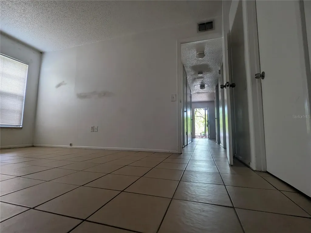 14317 Hanging Moss Circle Tampa FL 33613