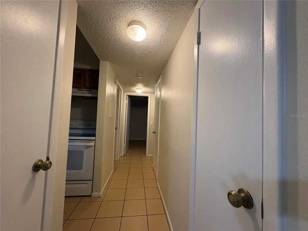 14317 Hanging Moss Circle Tampa FL 33613