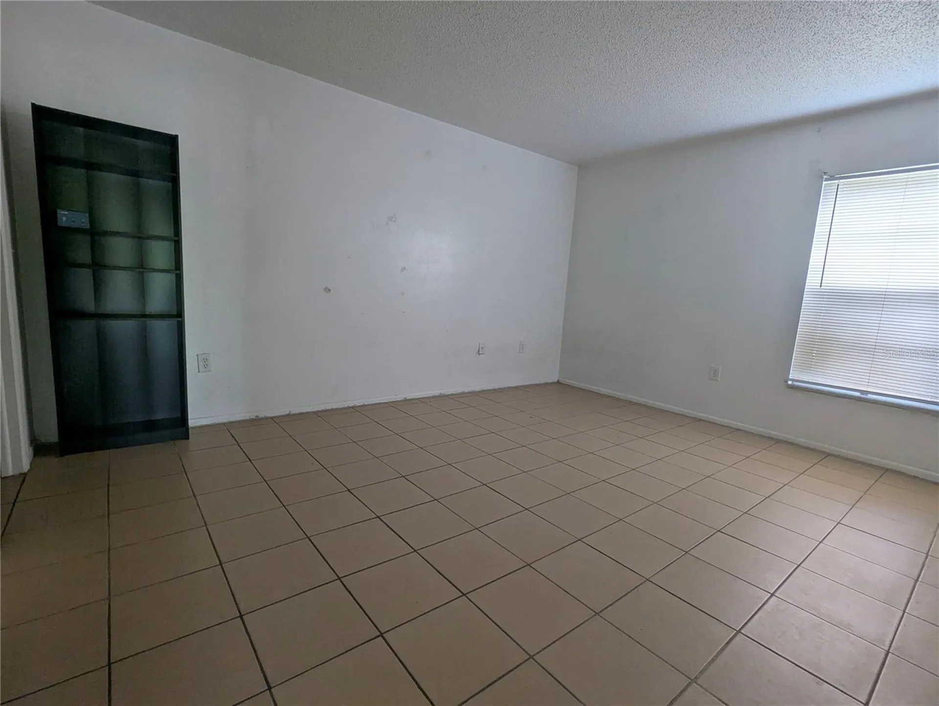 14317 Hanging Moss Circle Tampa FL 33613