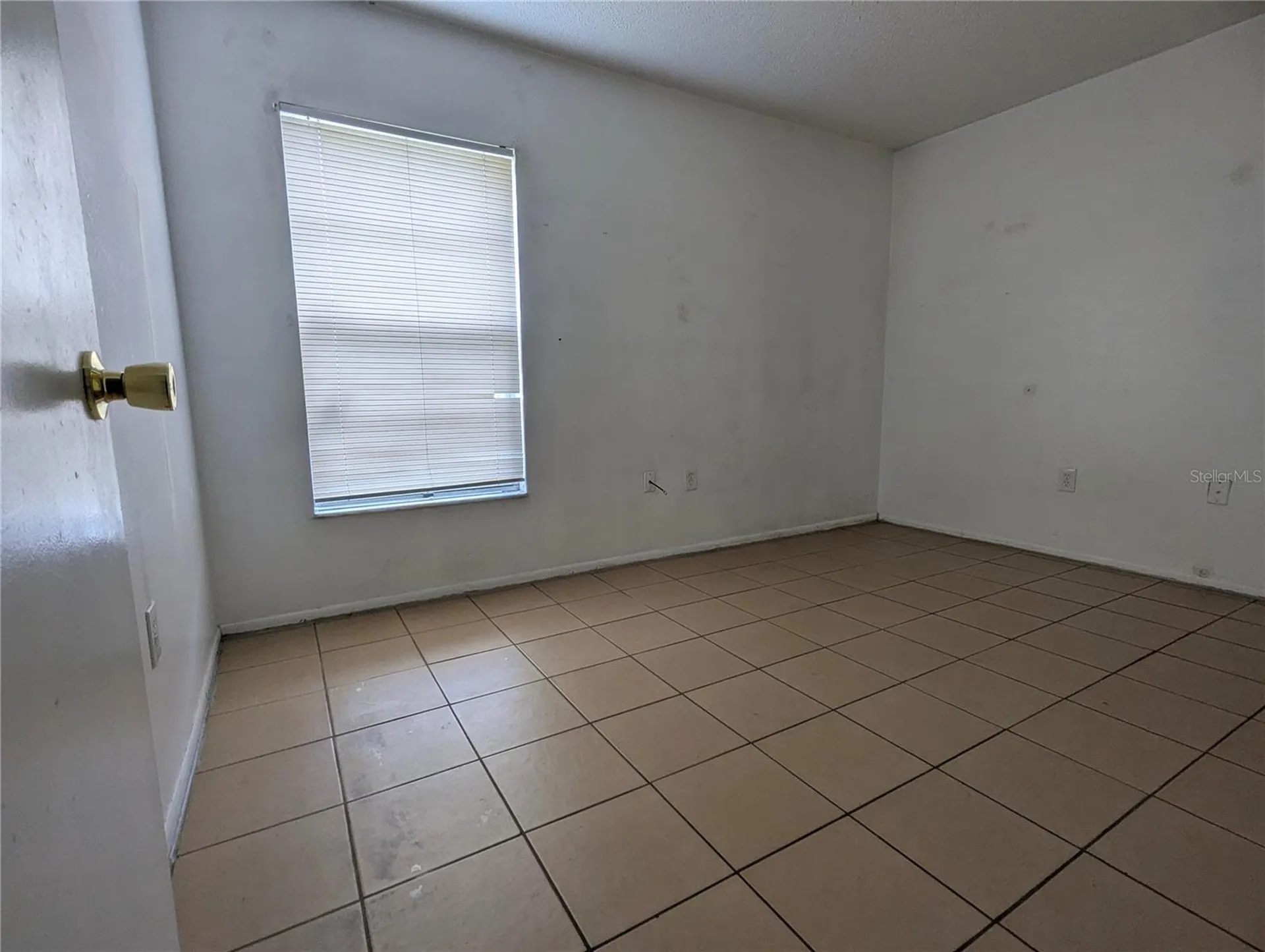 14317 Hanging Moss Circle Tampa FL 33613