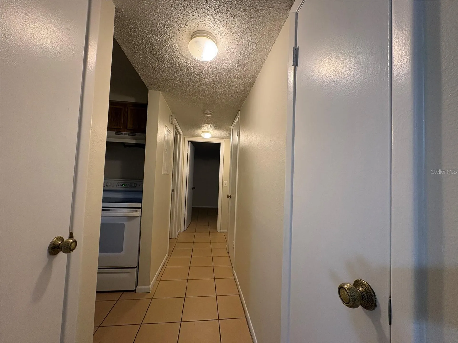 14317 Hanging Moss Circle Tampa FL 33613